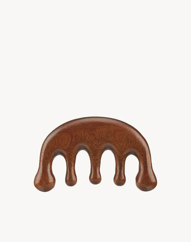 Organist Scalp Massage Gua Sha
